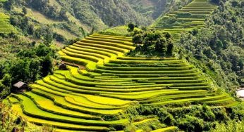 Dịch vụ chuyển hàng hoá giá trị cao từ Hà Nội đi Điện Biên giá rẻ