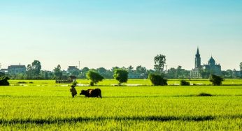 CHUYỂN PHÁT NHANH TỪ THÁI BÌNH ĐI CÁC TỈNH, THÀNH PHỐ TRÊN CẢ NƯỚC